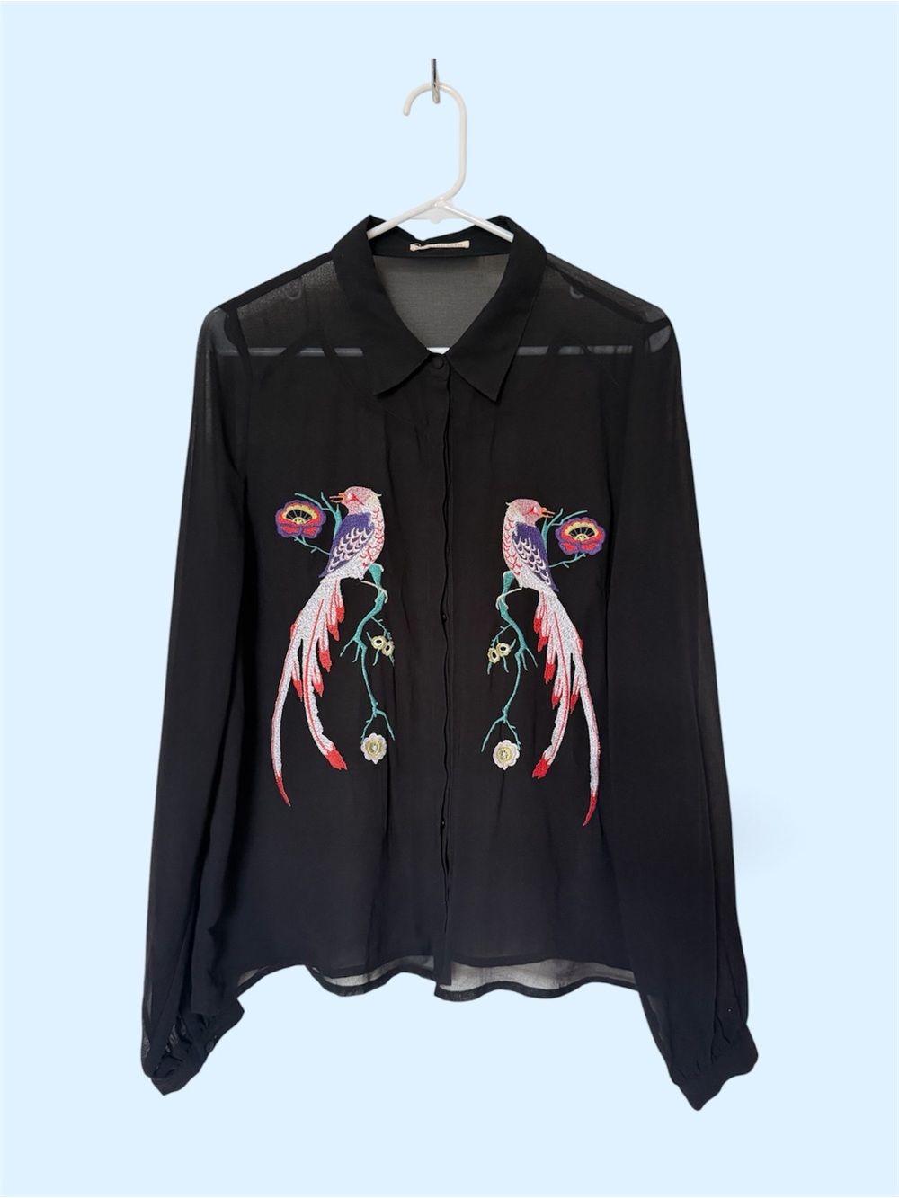 Mustard Seed Black Sheer Button-Down Blouse with Embroidered Bird Motifs